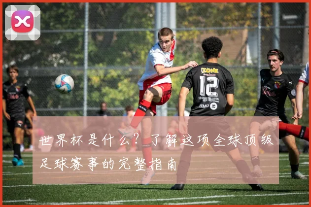 世界杯是什么?了解这项全球顶级足球赛事的完整指南